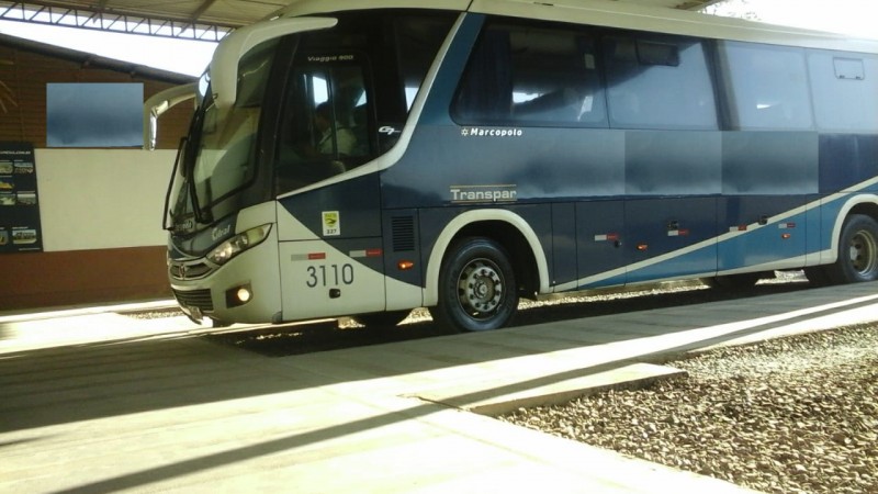 A foto mostra um ônibus azul estacionado em uma rodoviária do estado.