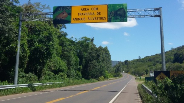 A foto mostra a placa de "área com travessia de animais silvestres".