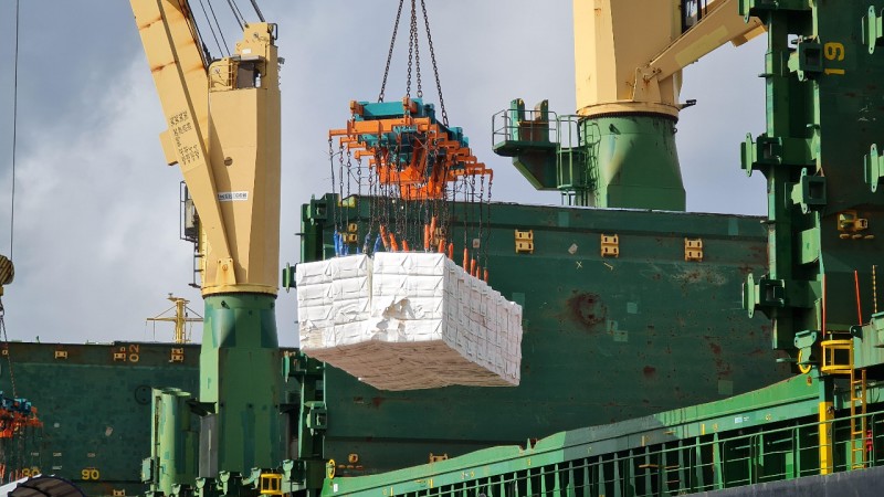 Imagem mostra guindastes em verde e amarelo descarregando produtos em porto.