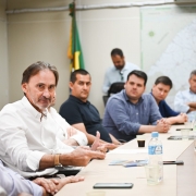 Secretário Costella recebe representantes dos municípios da região do Vale dos Sinos.