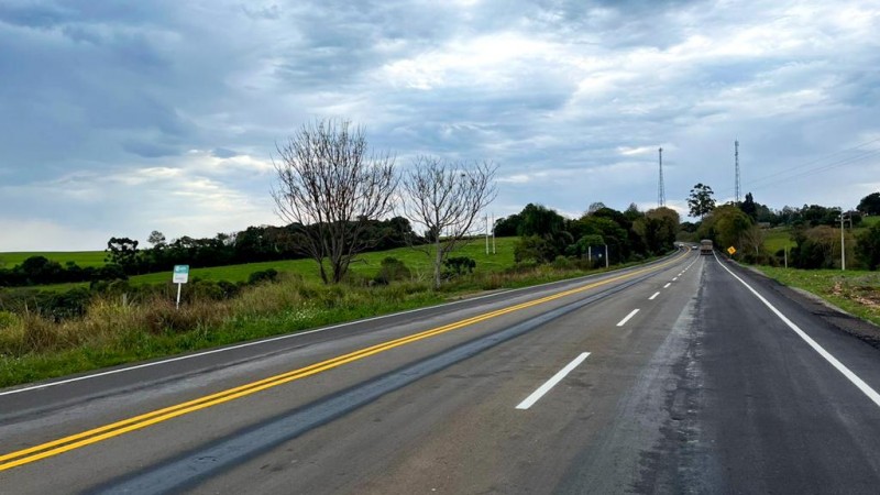 Imagem mostra pista asfaltada, com árvores nas laterais.