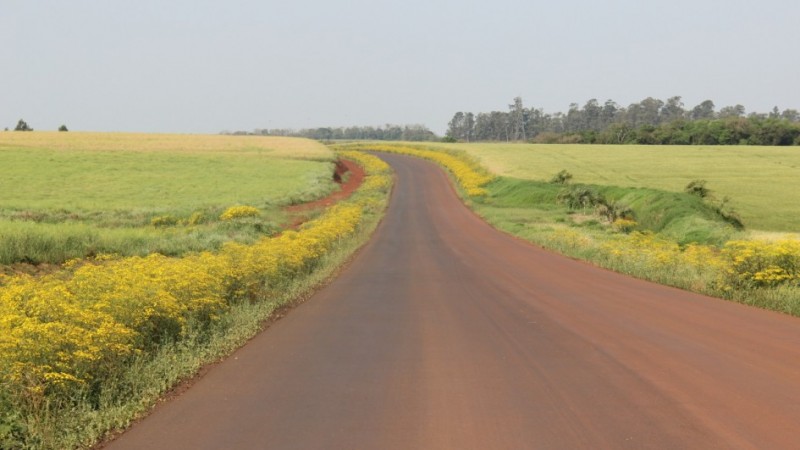 Na foto, estrada para Senador Salgado Filho