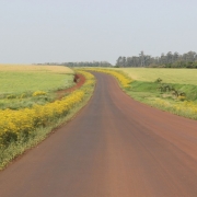 Na foto, estrada para Senador Salgado Filho